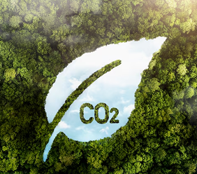 新型低碳复合材料